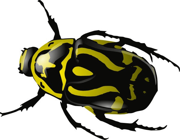 Free Yellow Beetle Clip Art