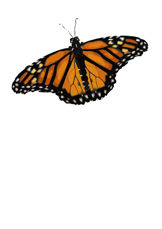 free clip art of monarch butterfly - photo #27