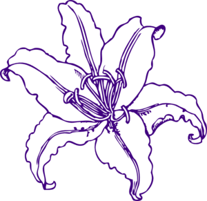 Purple Lilly clip art - vector clip art online, royalty free ...