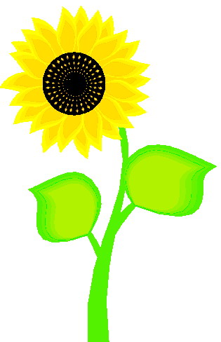 Clip Art - Clip art sunflower 297679