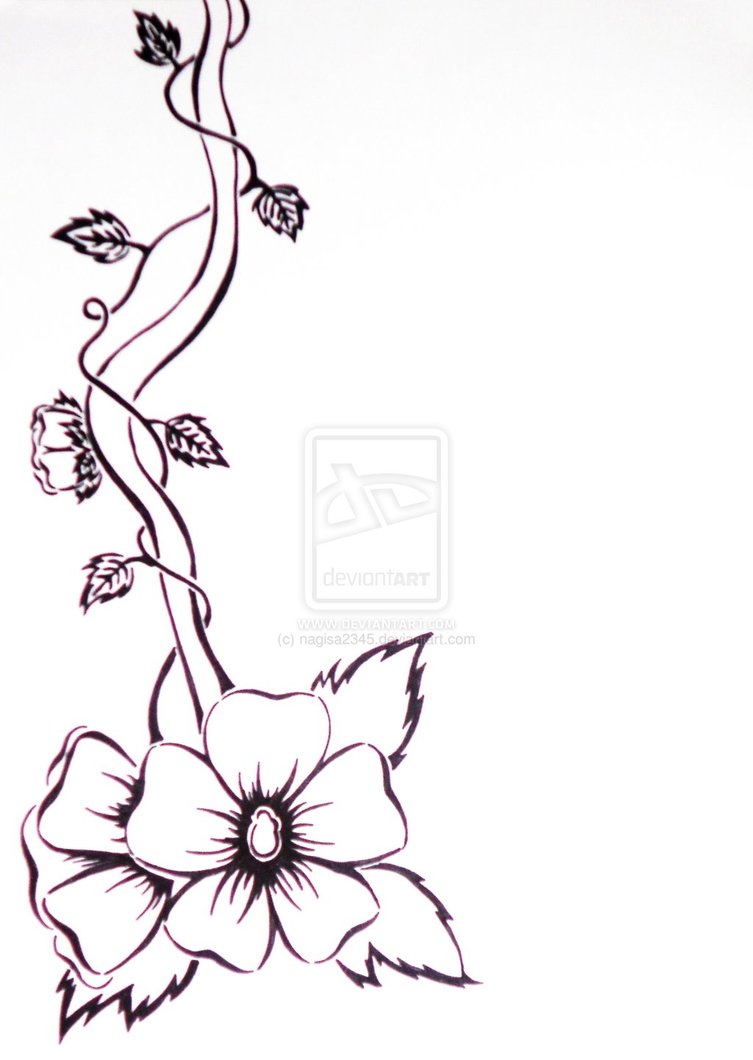 Flower Vine Line Drawing : Vine line drawing imgkid the image kid has it