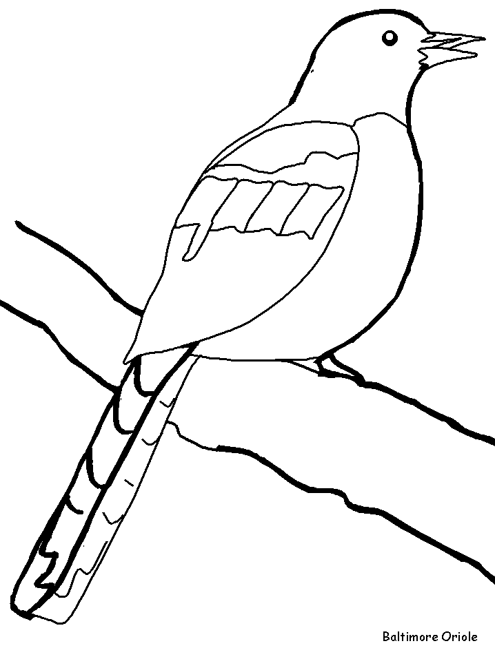 australian bird coloring pages - photo #1