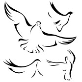 Bird | Dove Flying Up Drawing | Animal Picture | Animal Wallpaper
