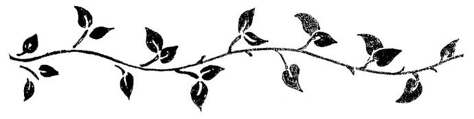 free black and white vine clip art - photo #2