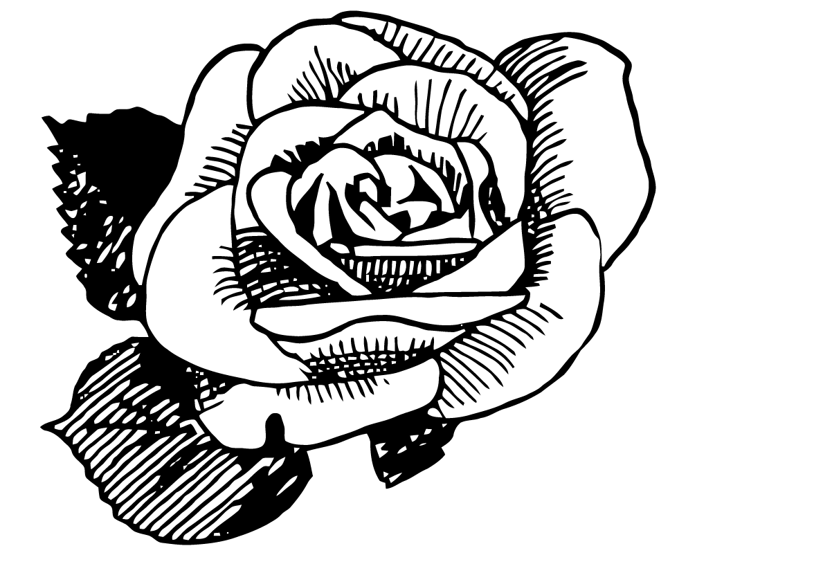 rose clipart vector free - photo #34