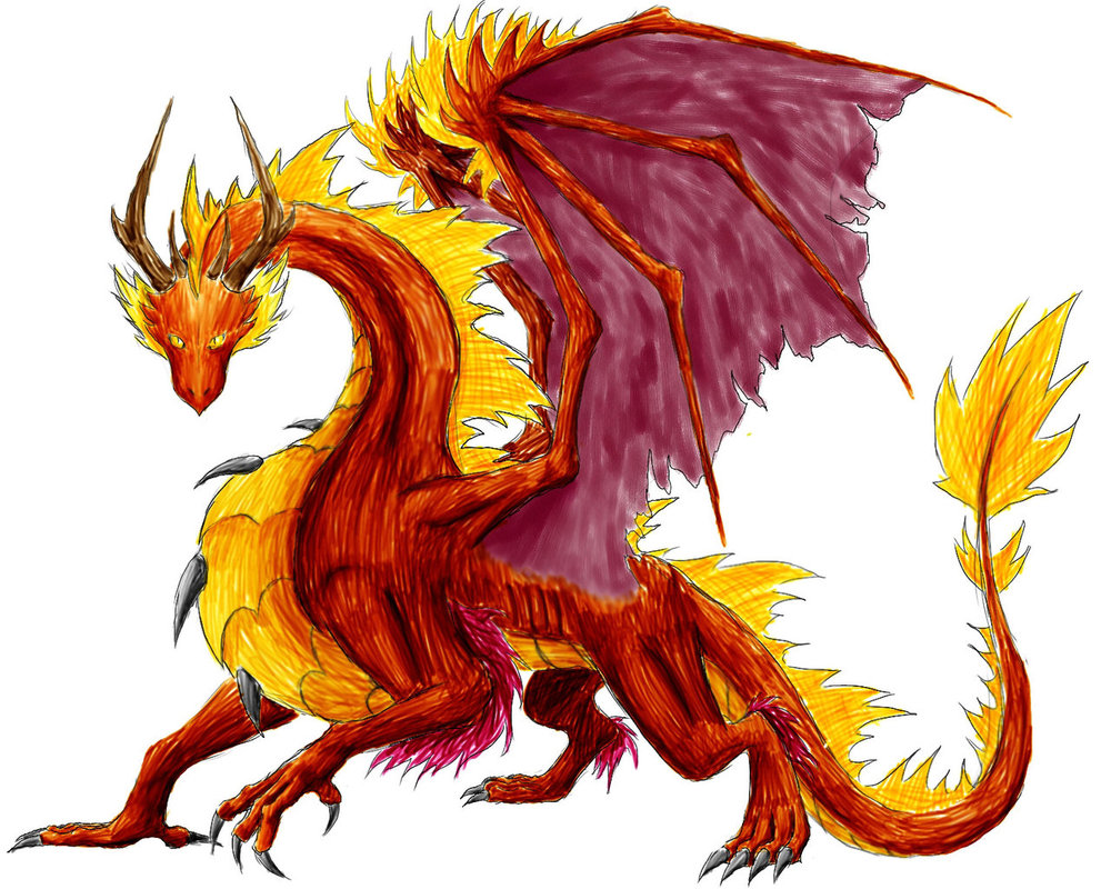 Pictures Of Fire Dragons