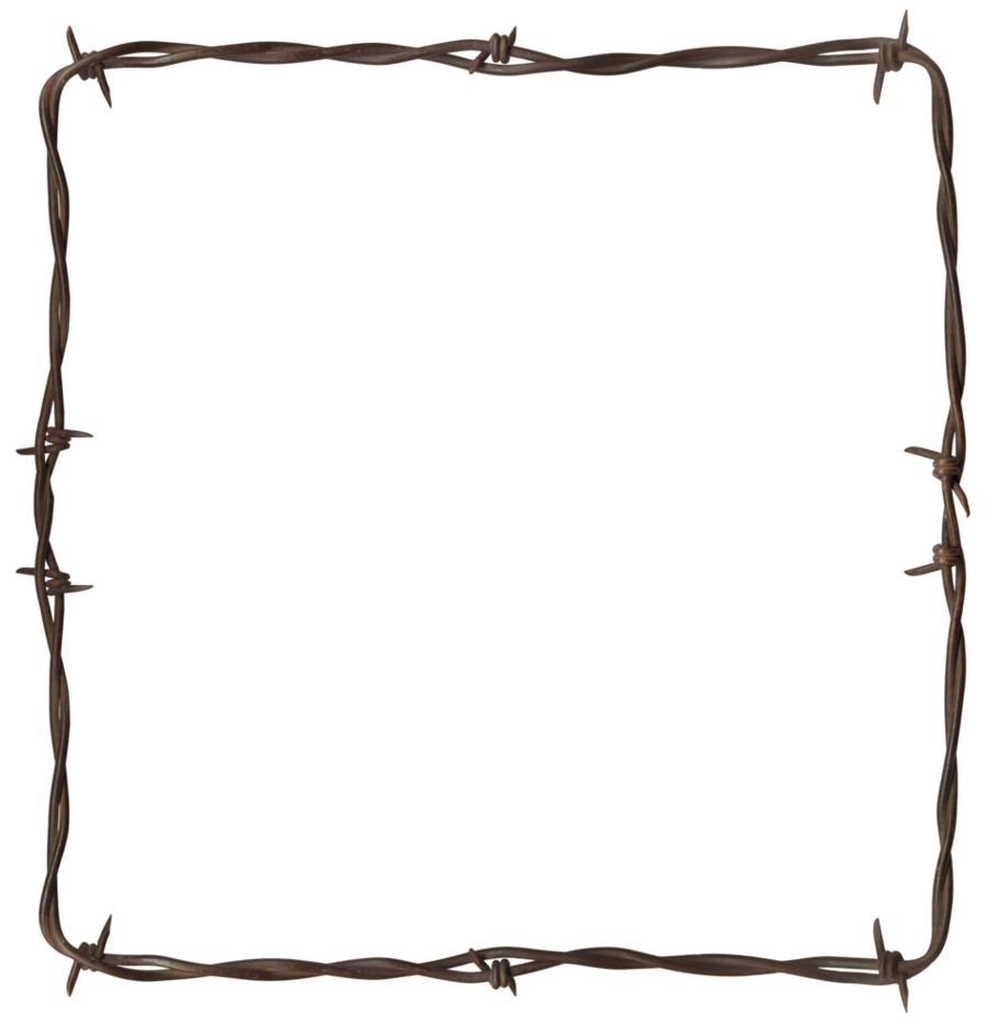 Barbed Wire Png Clipart - Free to use Clip Art Resource