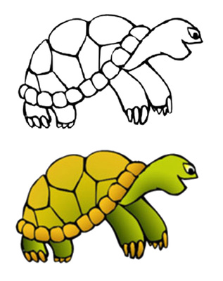 Turtle in shell clipart