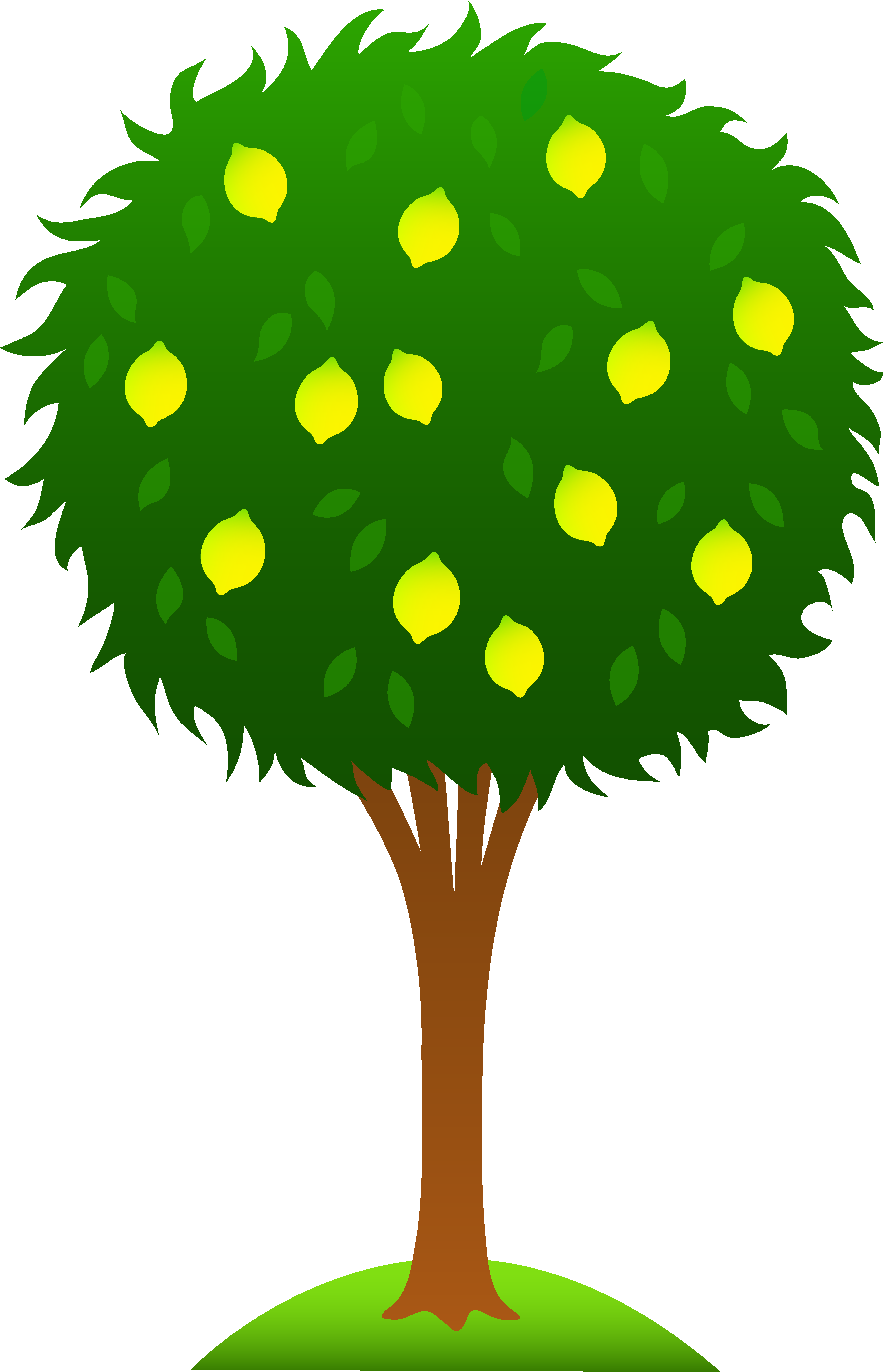 Cute clipart tree png