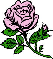 Pink Rose Cartoon Clipart