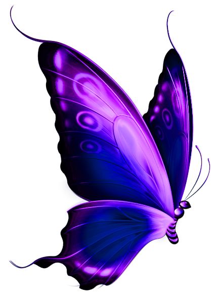 Purple Butterfly | Butterflies ...