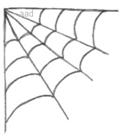 Spider Web Drawing Related Keywords & Suggestions - Spider Web ...
