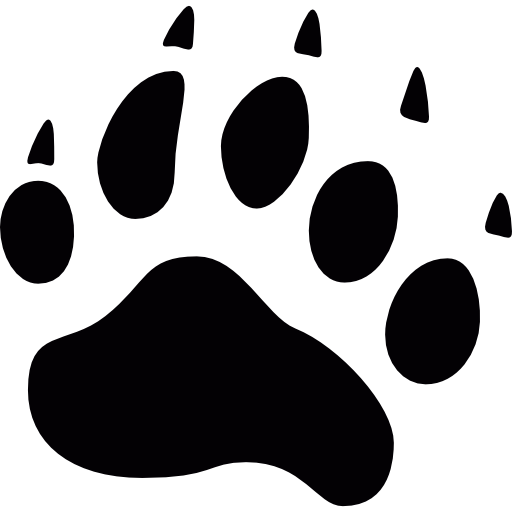 Bear Tracks Vector Free - ClipArt Best