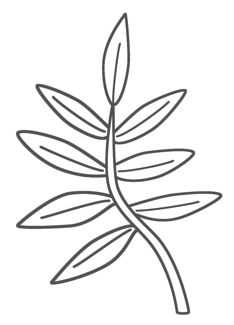 Branch - Coloring Page (Plants)