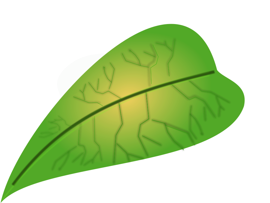 Jungle leaves clipart png