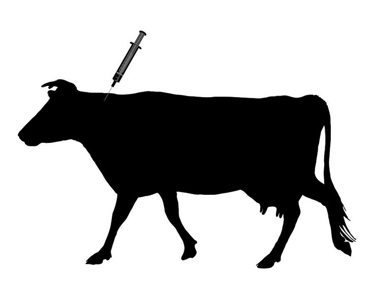 cow tipping clipart - photo #9