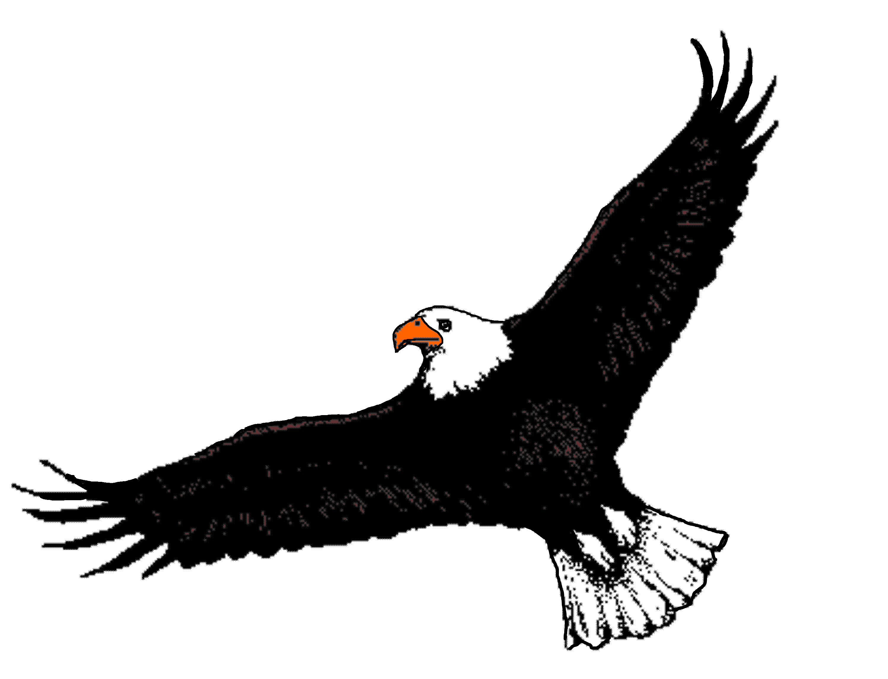 Flying Eagle Clipart - Tumundografico