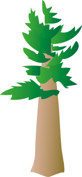 pine tree logo - get domain pictures - getdomainvids.com