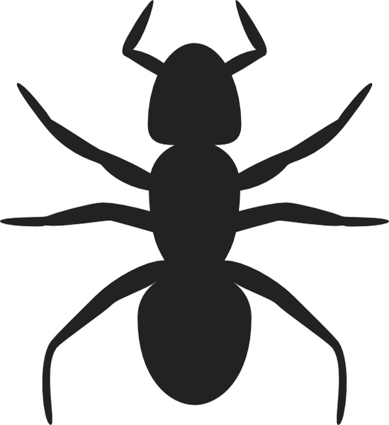 Ant clip art Free vector in Open office drawing svg ( .svg ...