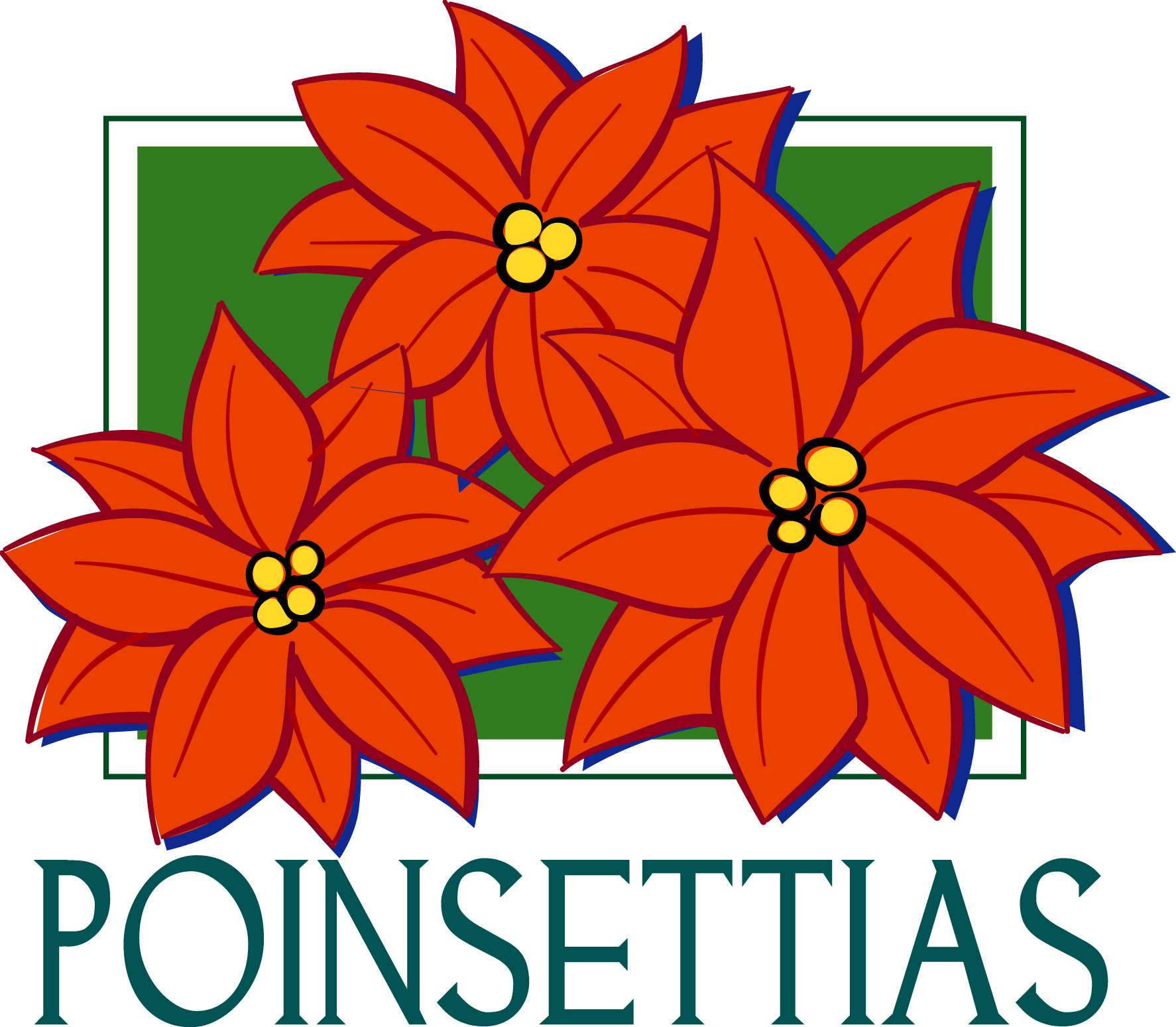 Poinsettia plant clipart