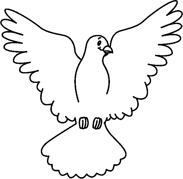 Dove bird drawing clipart - Cliparting.com