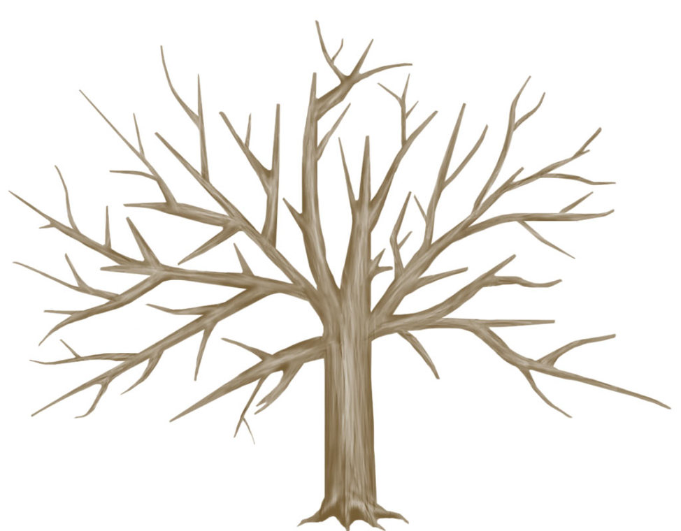 Tree Artwork Pictures Clipart - Free to use Clip Art Resource