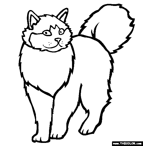Coloring Pages Download Cat Pictures To Color Fresh In Plans Free ...