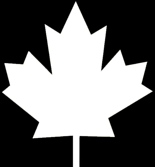 Toronto Maple Leaf stencils - Diamond FX - Canada