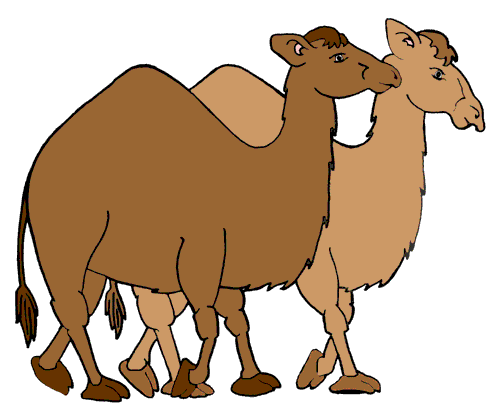 Free camel clipart clip art pictures graphics illustrations 2 ...