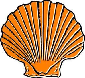 Orange Seashell clip art - vector clip art online, royalty free ...