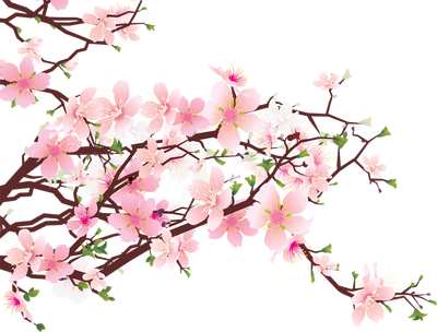Clipart Cherry Blossom And Lily Butterfly Rule Dividers ...