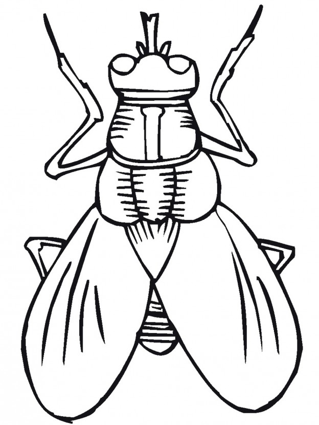 free-printable-bug-coloring-pages-for-kids-clipart-best-clipart-best