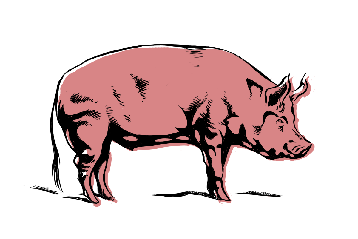 Cartoon PIG | Free Download Clip Art | Free Clip Art | on Clipart ...