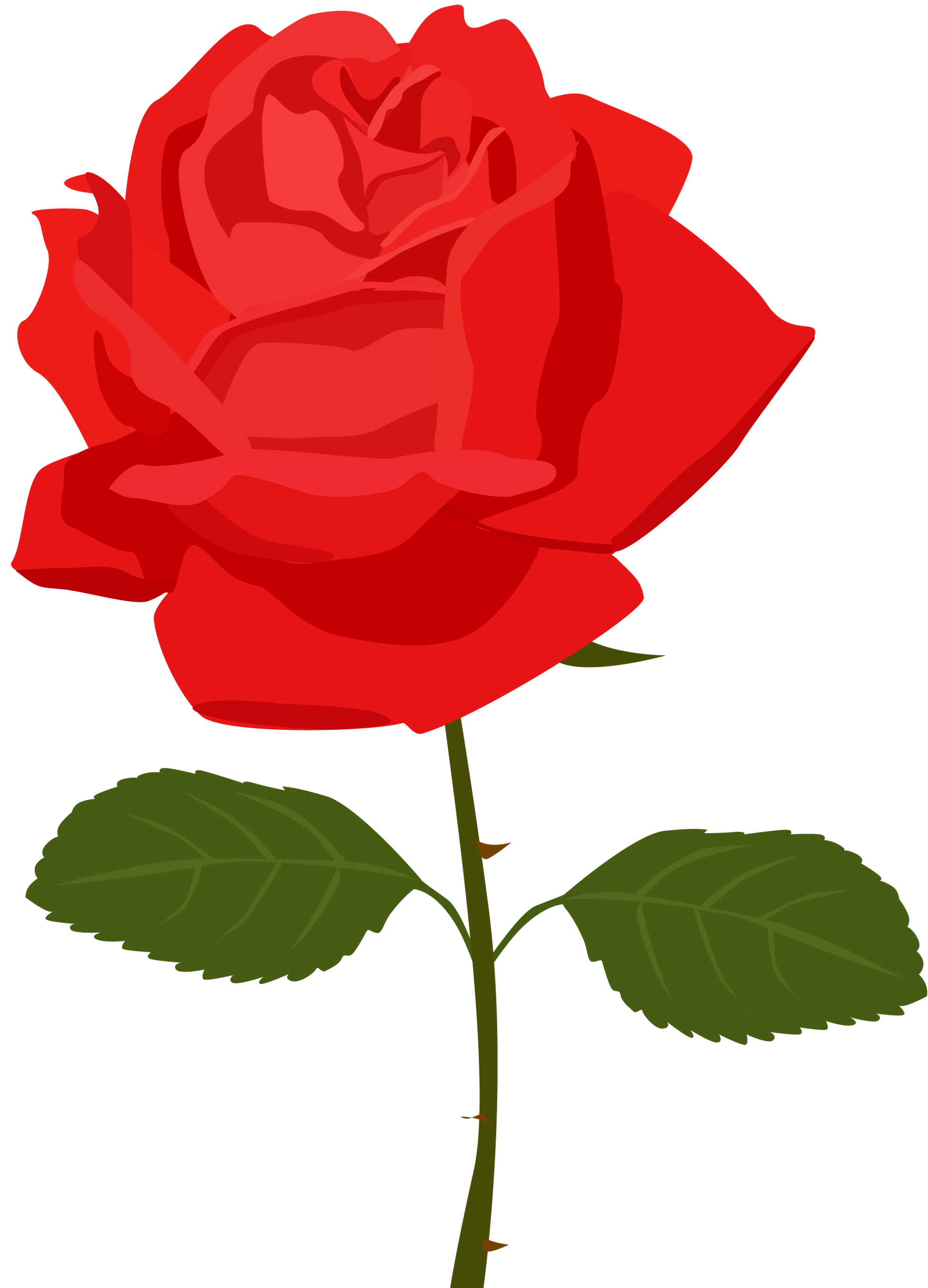 Clip Art Red Rose craft projects, Nature Clipart - Clipartoons