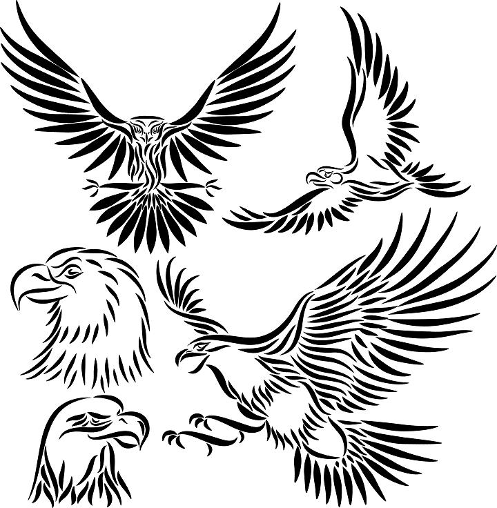 Eagle Wings Design - Free Clipart Images