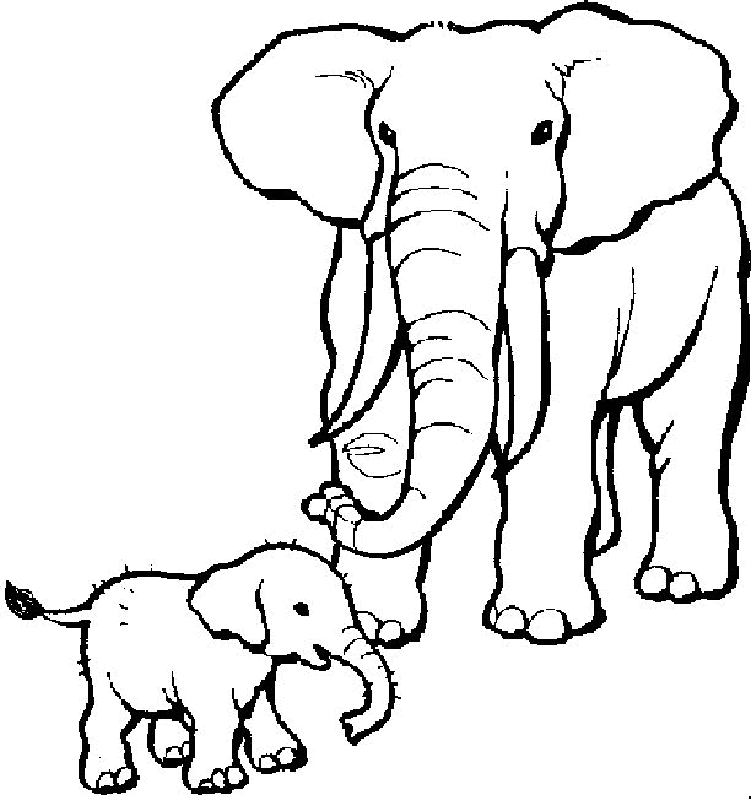 Elephant Coloring Pages To Print - AZ Coloring Pages