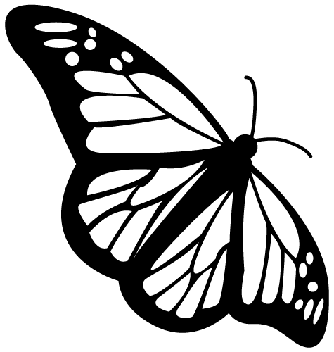 Butterfly Graphic - ClipArt Best