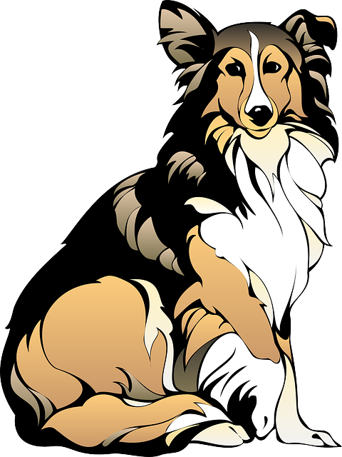 Sitting dog clipart png