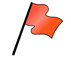Go Kart Flags - What Do They Mean?