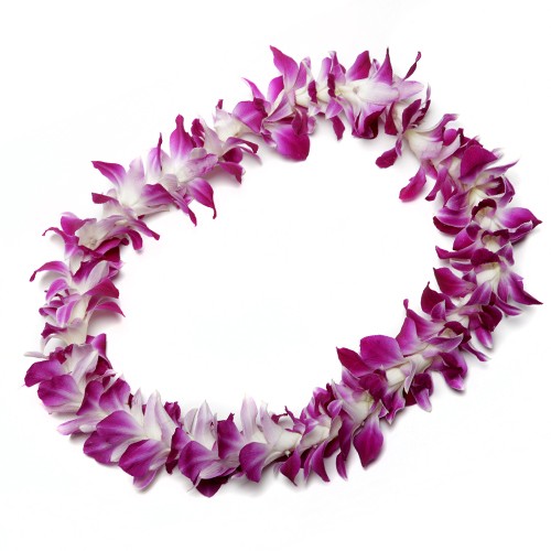 clip art flower lei - photo #17