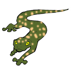 Newt Clipart - ClipArt Best