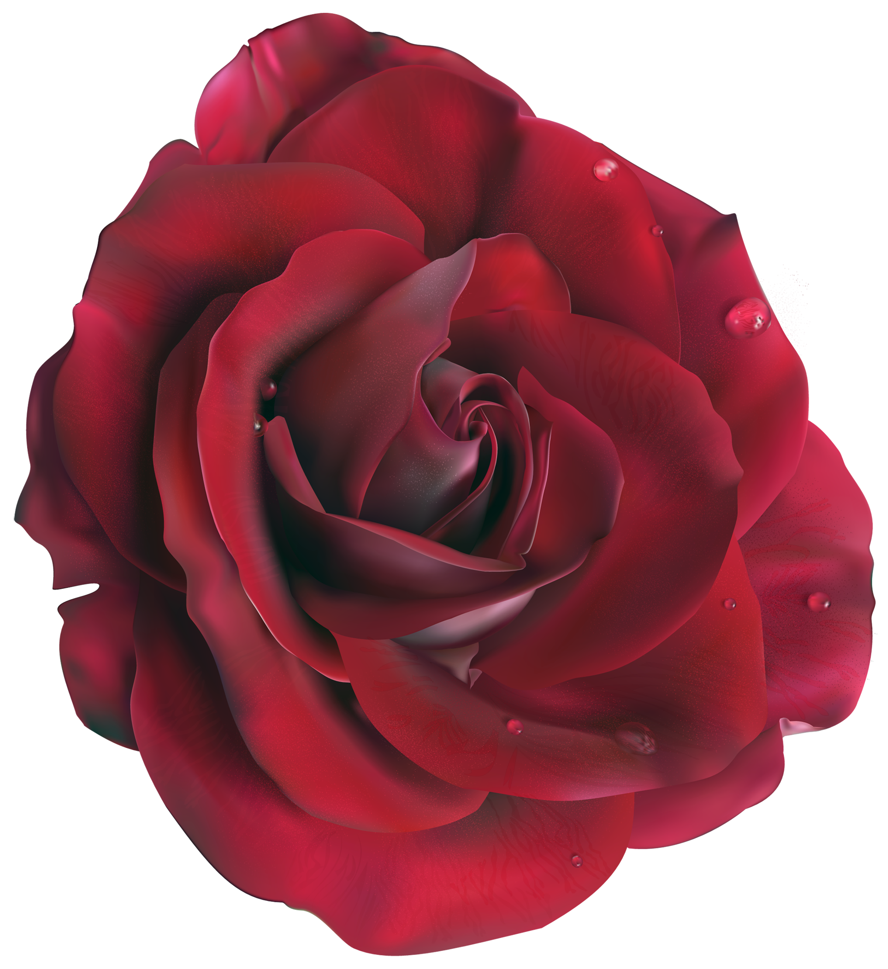 Red Large Rose Clipart Picture
