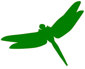 green-dragonfly-md.png