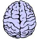 B> University of Michigan Medical School</B> <BR>* Brain Injury ...