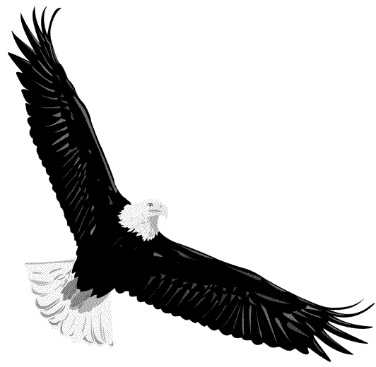 clip art eagle wings - photo #18