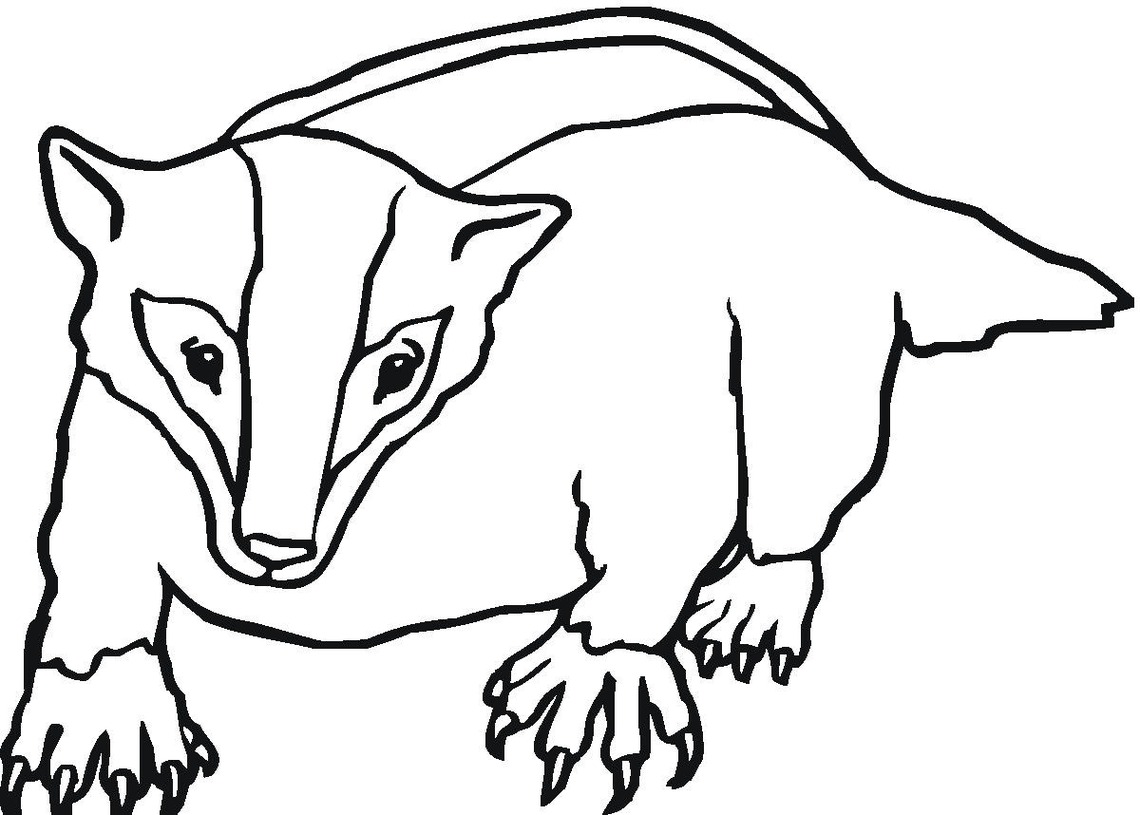 Badger Mask Template Colouring Pages (page 3) Clipart - Free to ...