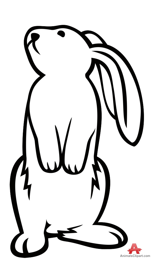 Standing Rabbit Outline Contour Drawing | Free Clipart Design Download