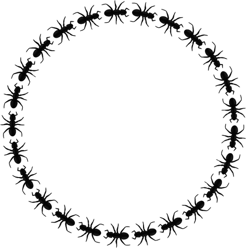 Vector clip art of ant pattern circular border | Public domain vectors