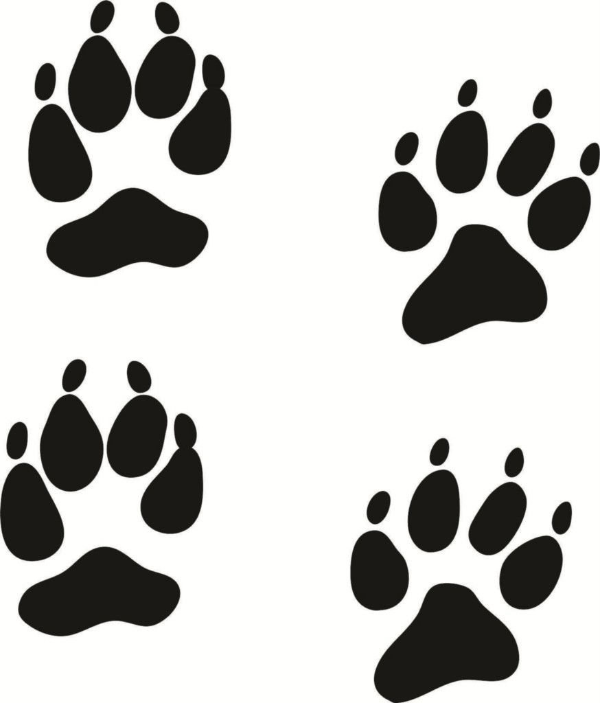 Coyote Paw Print Clipart