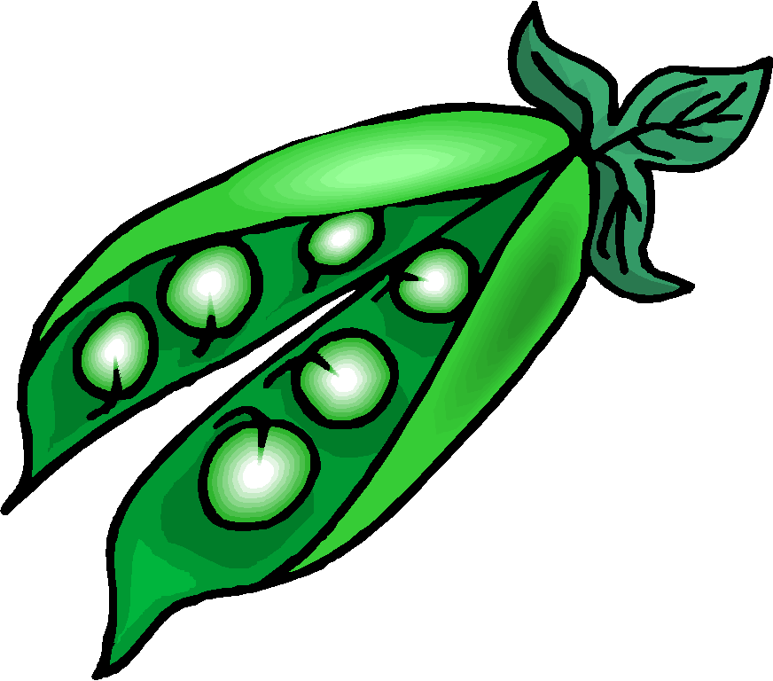 Green beans clip art